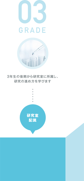 3年次　研究室配属：3年生の後期から研究室に所属し、研究の進め方を学びます