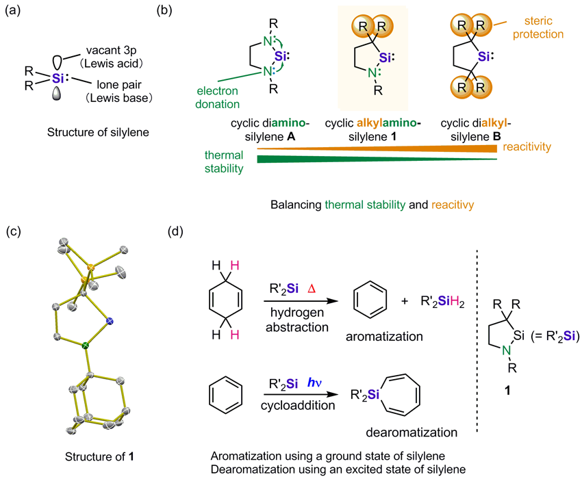 A Two-Coordinate Cyclic (Alkyl)(amino)silylene: Balancing Thermal Stability and Reactivity