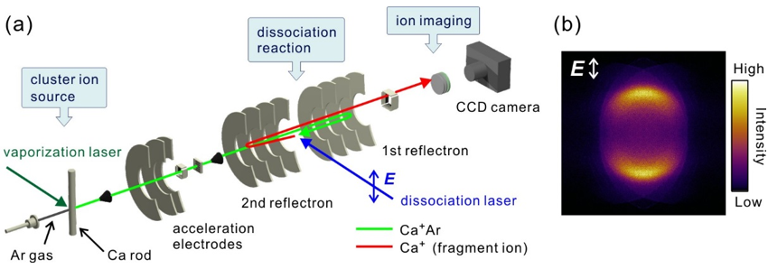 Unveiling photodissociation reaction mechanisms of weakly bound chemical species (clusters) -Development of a linear-type double reflectron for focused imaging of photofragment ions from mass-selected complex ions