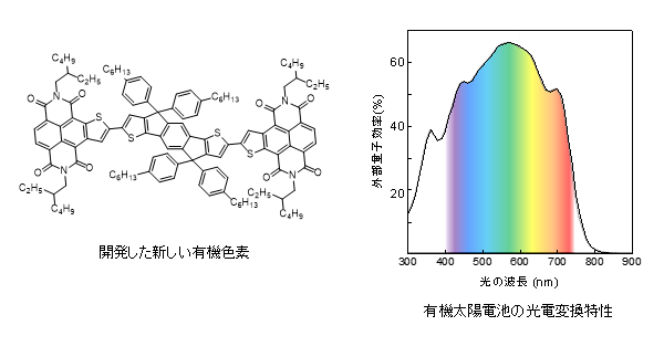 Laboratory of Organic Chemistry Ⅱ