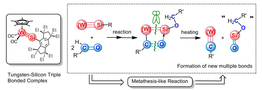 A transition metal-silicon triple bonded complex mediates molecular transformation