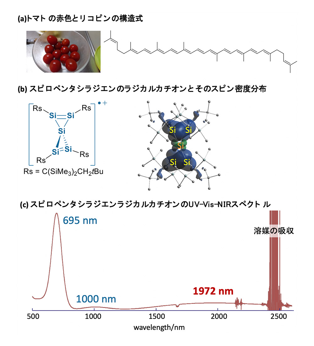 Research and Analytical Center for Giant Molecules