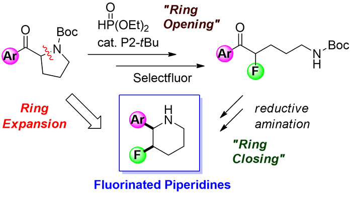 Figure. The Ring Expansion Strategy : Novel Synthesis of Fluorinated Piperidines