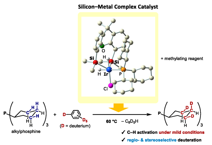 Design and synthesis of iridium complex catalysts supported by silicon-based chelate ligands for functionalization of C–H bonds of alkylphosphine