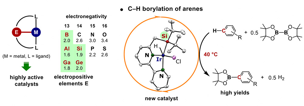 Metal catalysts bearing multidentate ligands with electropositive Group 13 & 14 elements E