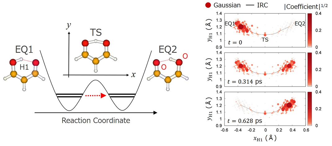 Simulation of quantum tunneling in chemical reactions