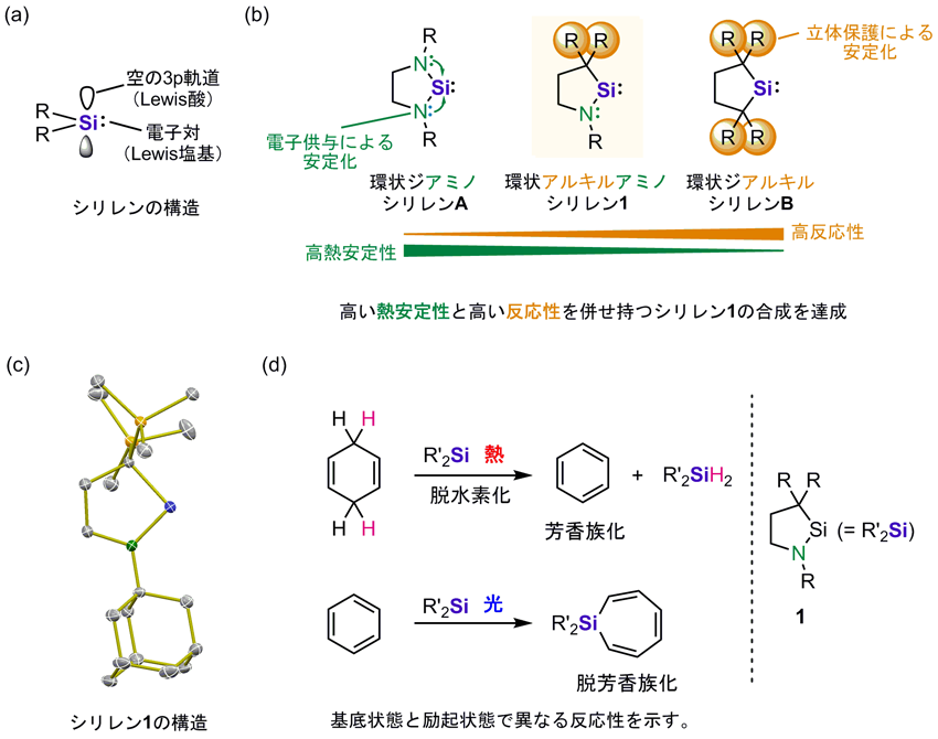 反応途中の分子を操る　～　高い安定性と反応性を合わせ持つ二価ケイ素化合物の合成