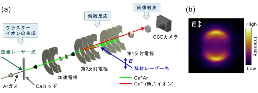 原子分子が弱く結合した化学種(クラスター)の光分解反応機構を探る―　生じる各断片種のエネルギーと放出方向の画像が得られる新たな装置の開発