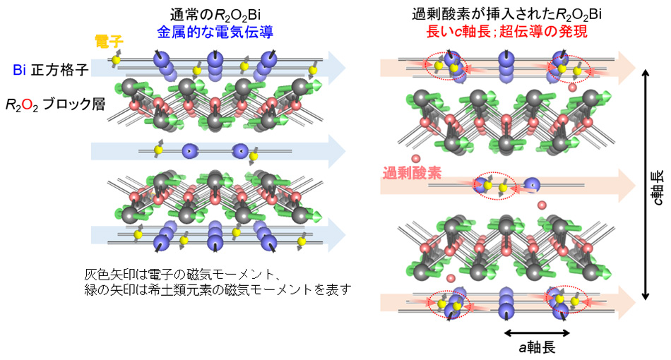 図1　R2O2Biの結晶構造。過剰酸素が層間に入ると、c軸長が増大する。