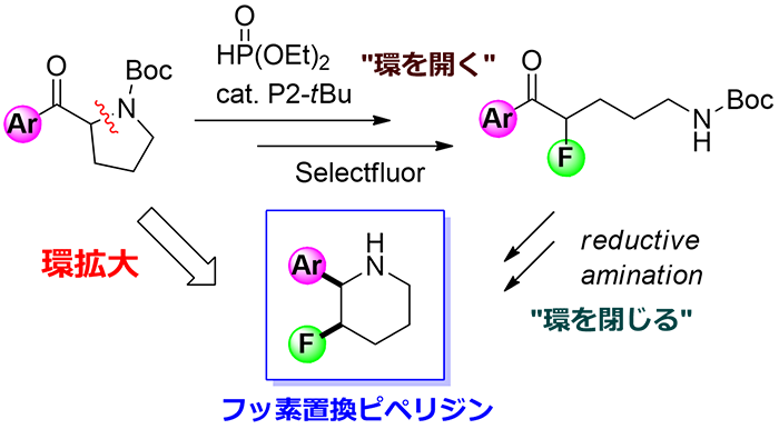 図．環骨格を開いて閉じる～フッ素置換ピペリジンの新たな合成～