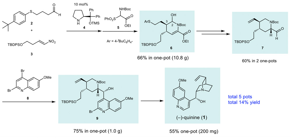 有機触媒を用いた(−)-キニーネの5ポット合成