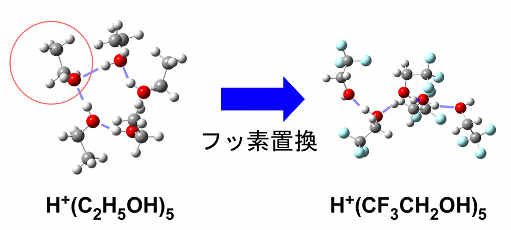 図. フッ素置換によるプロトン付加アルコール5量体の水素結合構造の変化。薄紫の線は水素結合を表している。赤丸で囲まれた分子は２つの水素原子を受容している。