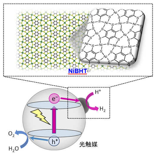 水素社会に向けた水完全分解光触媒系の探索